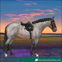 Horse Color:Brown Roan 