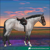 Horse Color:Brown Roan