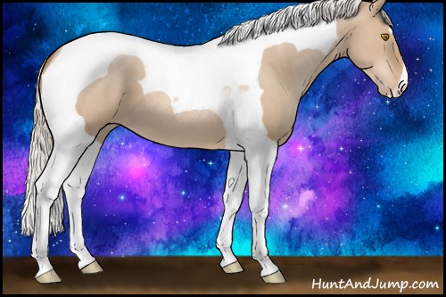 Horse Color:Silver Grullo Pearl Tobiano 