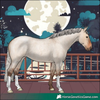 Horse Color:Silver Brown Roan Dun 