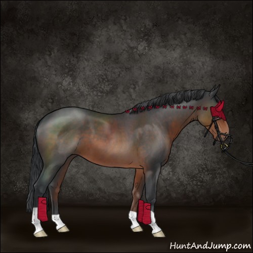 Horse Color:Brown Roan