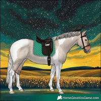 Horse Color:Silver Brown Roan Dun Tobiano Rabicano 