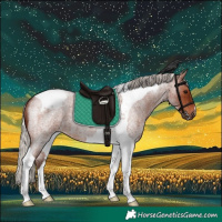 Horse Color:Silver Brown Roan Tobiano 