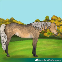 Horse Color:Silver Buckskin Dun 