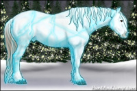 Horse Color:Thunderstruck Chestnut Appaloosa 