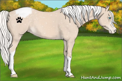 Horse Color:Silver Perlino Snowflake Varnish
