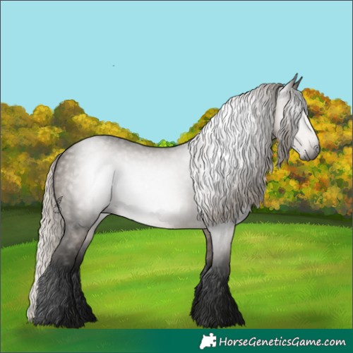 Horse Color:Gray Silver Smoky Grullo