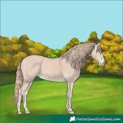 Horse Color:Perlino 