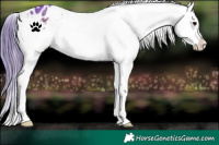 Horse Color:Watercolor Brown Snowflake Varnish 