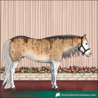 Horse Color:White Spotted Silver Buckskin Dun Splash Brindle 