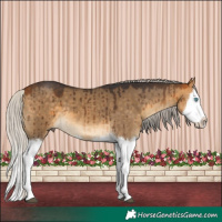 Horse Color:White Spotted Silver Buckskin Dun Splash Brindle 