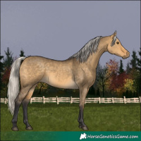 Horse Color:Silver Buckskin Dun 