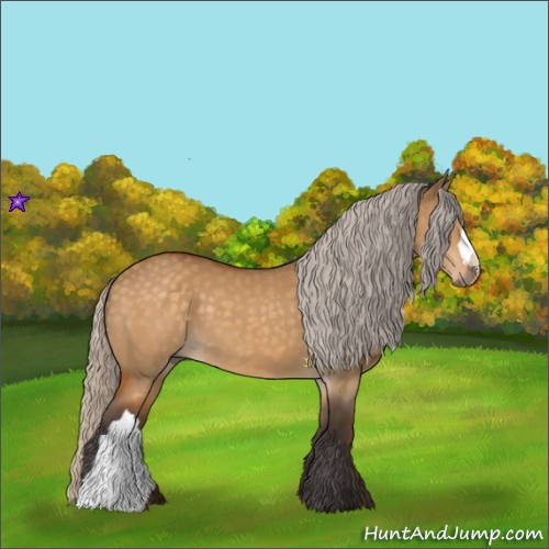 Horse Color:Silver Buckskin Dun 