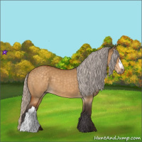 Horse Color:Silver Buckskin Dun 