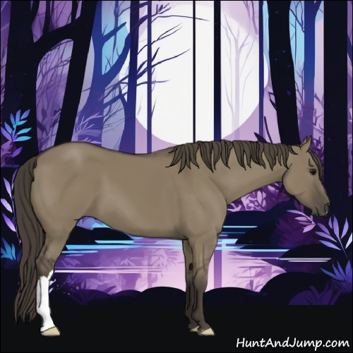 Horse Color:Smoky Grullo 
