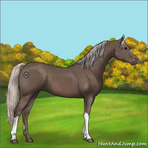 Horse Color:Silver Black 