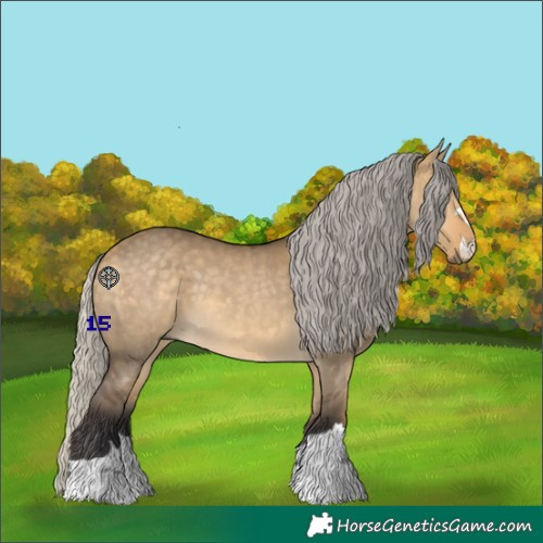 Horse Color:Silver Buckskin Dun 