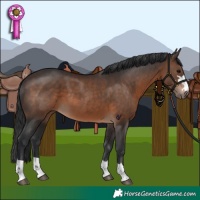 Horse Color:Brown 