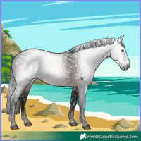 Horse Color:Gray Brown 