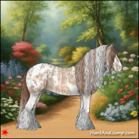 Horse Color:White Spotted Red Dun Splash Tobiano Near Leopard  and Red Dun Splash Tobiano Blanket 