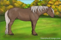 Horse Color:Silver Black 