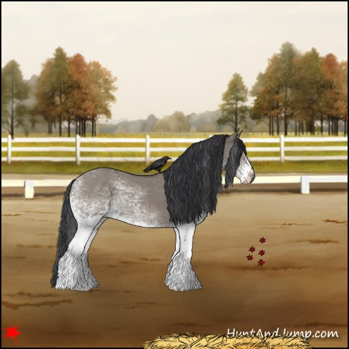 Horse Color:White Spotted Grullo