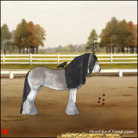 Horse Color:White Spotted Grullo