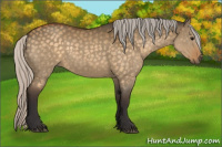 Horse Color:Silver Buckskin Dun 