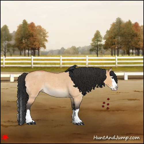 Horse Color:Bay Roan Dun Splash 