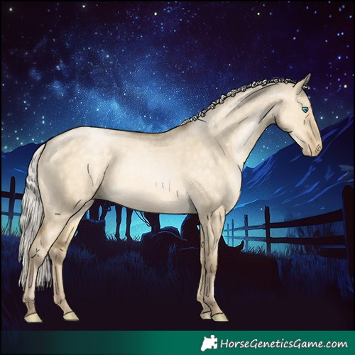 Horse Color:Silver Buckskin Pearl Dun 