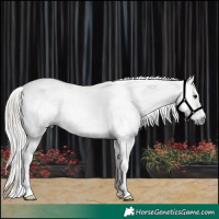 Horse Color:Gray White Spotted Silver Smoky Grullo Sabino Rabicano