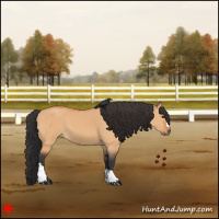 Horse Color:Bay Dun