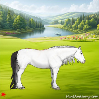 Horse Color:White Spotted Bay 