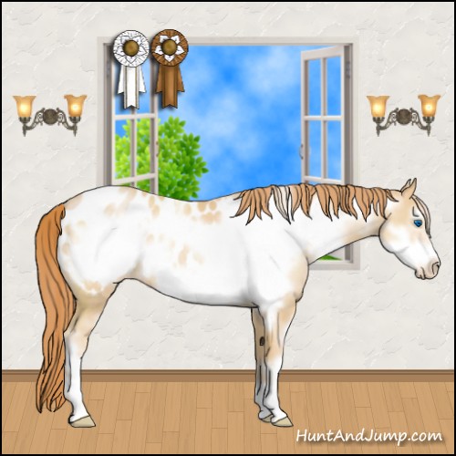 Horse Color:Buckskin Pearl Sabino Frame Appaloosa 