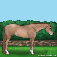 Horse Color:Brown Pearl