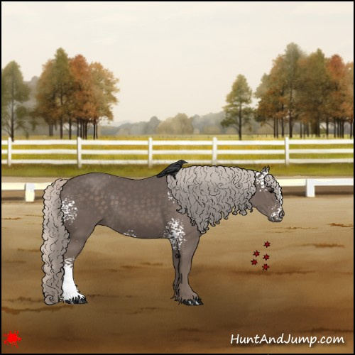 Horse Color:White Spotted Silver Black 