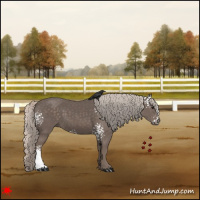 Horse Color:White Spotted Silver Black 