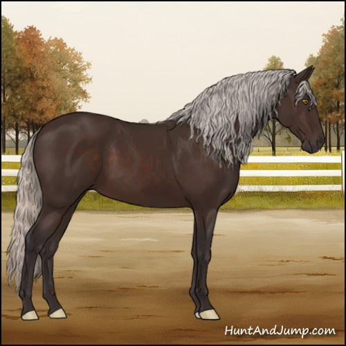 Horse Color:Silver Brown 