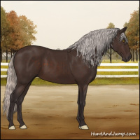 Horse Color:Silver Brown 