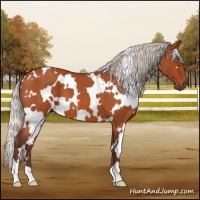 Horse Color:White Spotted Silver Bay Roan 