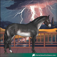 Horse Color:Platinum Brown 