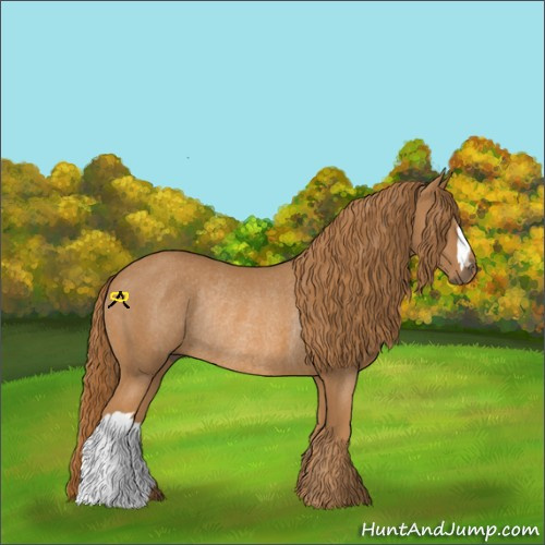 Horse Color:Chestnut Rabicano 