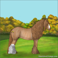 Horse Color:Chestnut Rabicano 