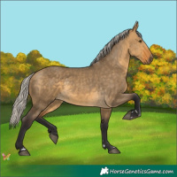 Horse Color:Silver Buckskin Dun 