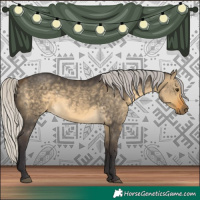 Horse Color:Silver Buckskin Dun 