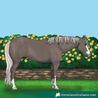 Horse Color:Silver Black 