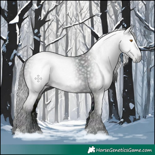Horse Color:Gray Midnight Black 