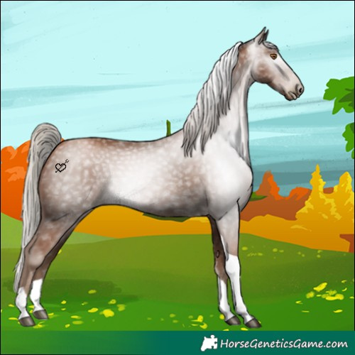 Horse Color:Gray Silver Black Pearl Tobiano