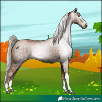 Horse Color:Gray Silver Black Pearl Tobiano 
