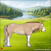 Horse Color:Red Roan Splash 